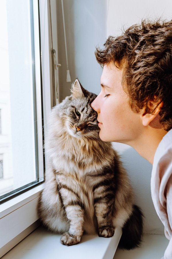 Comment comprendre un chat et assurer son bien-être