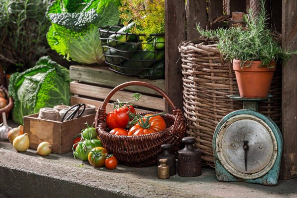 Comment organiser un festival de films d'animation pour enfants avec des ateliers créatifs?