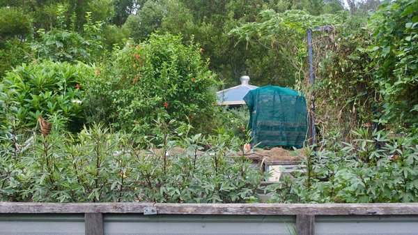 Quelles sont les techniques de permaculture appropriées pour les petits jardins urbains ?