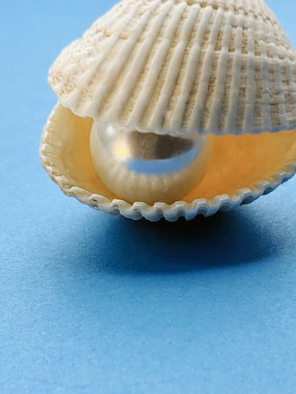 Les perles naturelles et ses multiples facettes